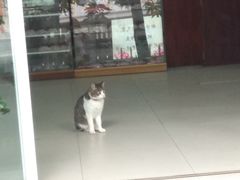 -合德记顺德双皮奶(江南西店)