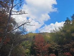 -天台山景区