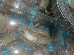 -渔码头食府(蓬莱阁店)