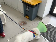-守诺宠物医院·眼科· 神经外科·爬宠专科(虹口店)