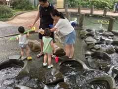 -成都市活水公园