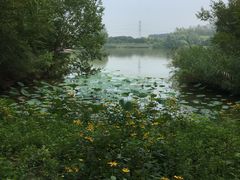 -翠湖国家城市湿地公园