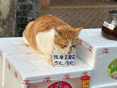 -满記土窑烧鷄波浪山莊