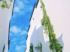 -南京市民俗博物馆(甘熙宅第)