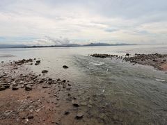 -深圳湾公园(南山区)