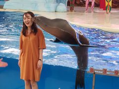 -三亚海昌梦幻海洋不夜城