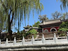 -皇家御河游(紫御湾码头)