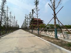 -海天禅寺
