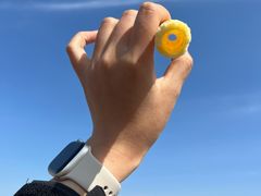 -春花秋色城市公园