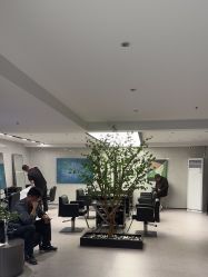 -付军剪艺JF ProSalon