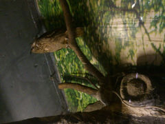 android_upload_pic-上海大自然野生昆虫馆