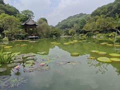 -云溪植物园