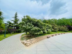 -大望京儿童游乐场