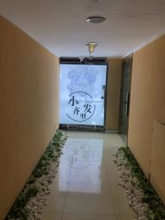 -小齐发型Star~salon