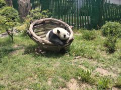 -大连森林动物园