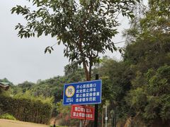 -梧桐山风景名胜区