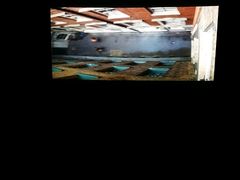 -AMG海上明珠影城(上海环球港RealDCinema店)
