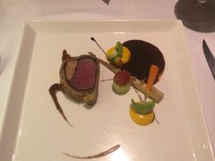 -蝶舍·MAISON PAPILLON