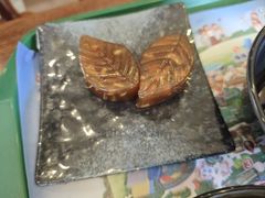 -雨林餐厅(长隆海洋王国店)