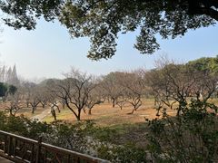 -无锡梅园公园