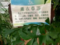 -龙达温泉生态城