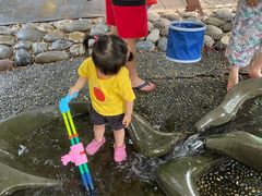 -成都市活水公园