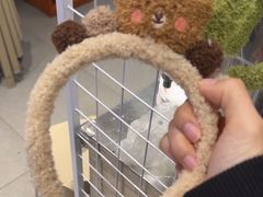 -尹珍珠·韩式无限烤肉(回龙湾店)