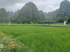 -万峰林风景区