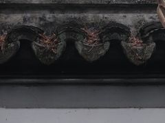 -秋霞圃