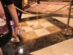 -澳门威尼斯人综合度假区