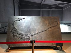 -中华赏石园