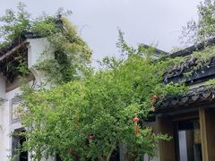 -鲤院·新中式美学·庭院餐厅(夫子庙店)