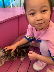 -萌宠亲子动物乐园(槐房万达店)