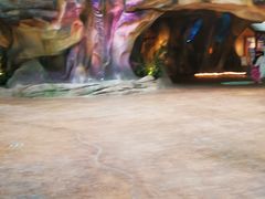 -杭州开元森泊度假乐园