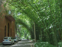 -贵州师范大学(宝山北路校区)
