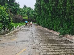 -银沙滩浴场