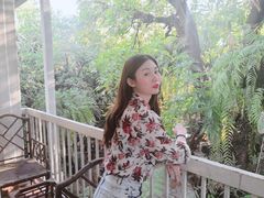-Fern Forest Cafe