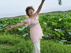 -洪湖生态旅游区