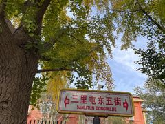 -三里屯东五街银杏大道