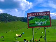 -关山草原