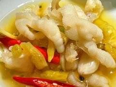 -禄婶鸡煲·打边炉