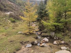 -芦芽山旅游度假区