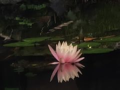 -望江楼公园