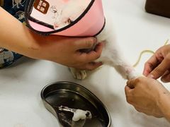 -康成宠物医院24H·CT·核磁共振