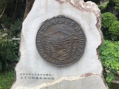 -广州市流溪河国家森林公园