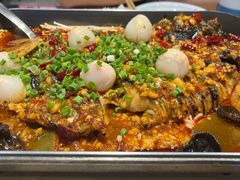 -鱼酷活鱼烤鱼(沈阳大悦城店)