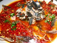 -坛宗剁椒鱼头(河西王府井店)
