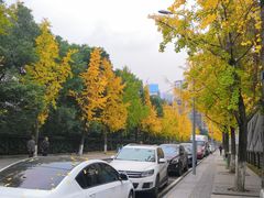 -西南政法大学(沙坪坝校区)