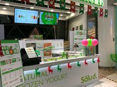 门面-Salud撒露欧洲冻酸奶(北苑上品店)