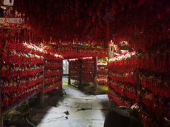 -三顾园(锦里店)